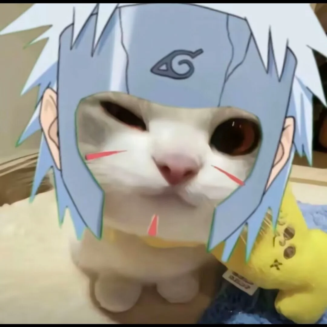 手机测试 的图片 1